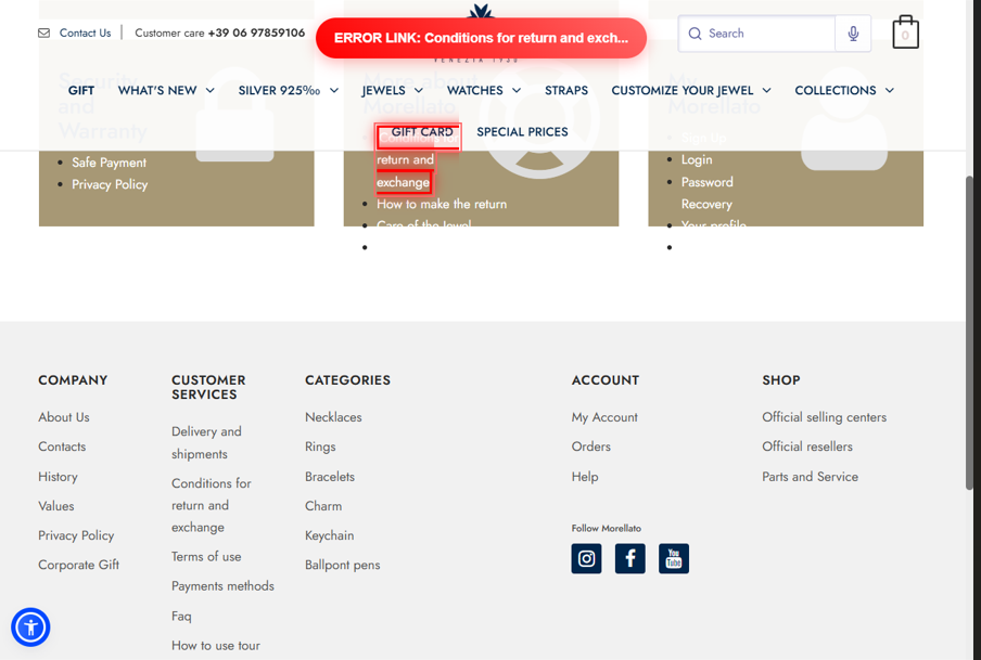 Selenium link checker - broken link highlighted with red border and ERROR LINK banner injected via JS